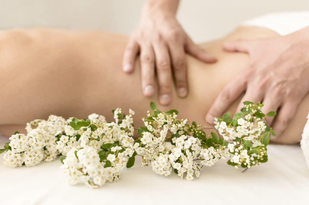 massages Meyzieu